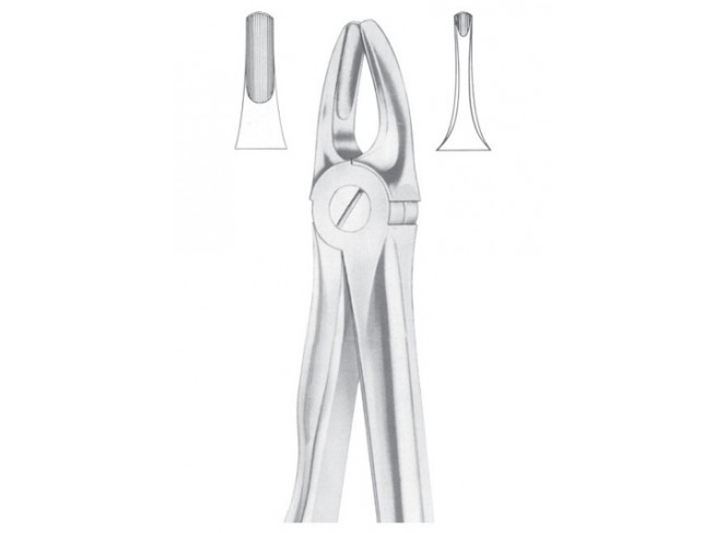 Extracting Forceps English Pattern