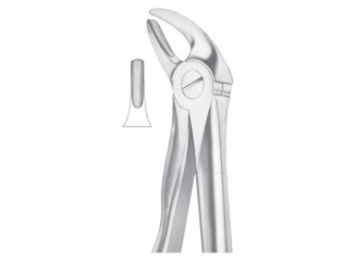 Extracting Forceps English Pattern