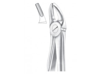 Extracting Forceps English Pattern