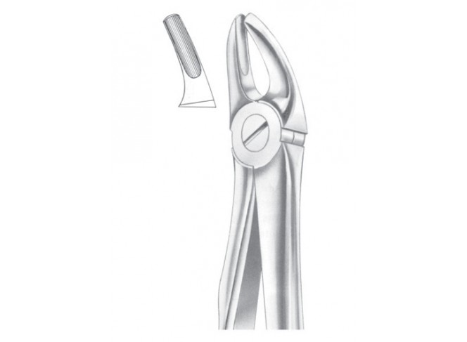 Extracting Forceps English Pattern