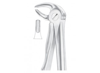 Extracting Forceps English Pattern