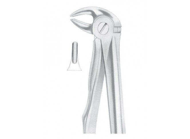 Extracting Forceps English Pattern