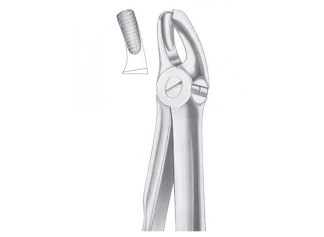 Extracting Forceps English Pattern