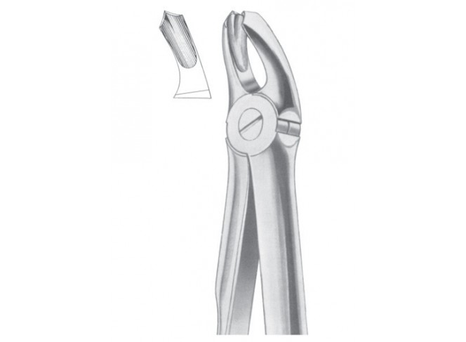 Extracting Forceps English Pattern