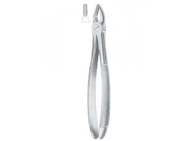 Extracting Forceps