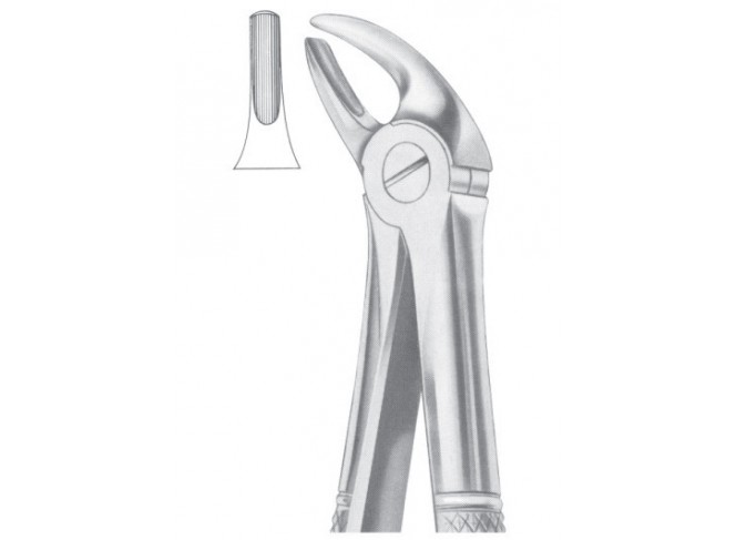 Extracting Forceps