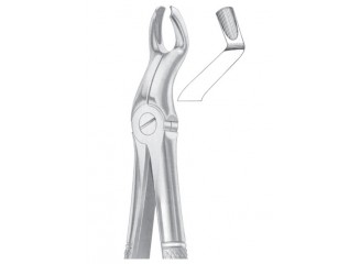 Extracting Forceps