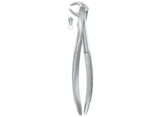 Extracting Forceps