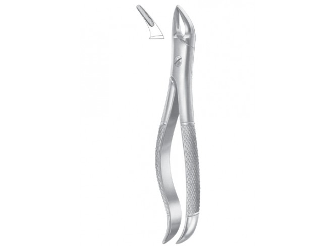 Extracting Forceps